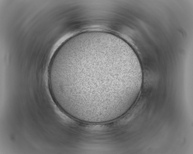 X0000112981474200909171328