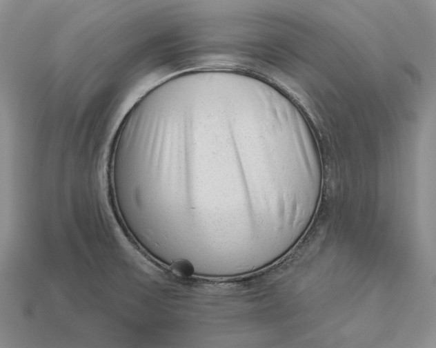 X0000112981475200909171328