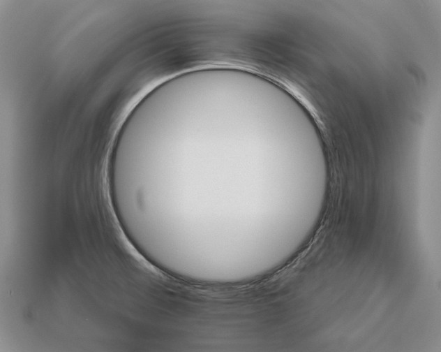 X0000112981476200909171328