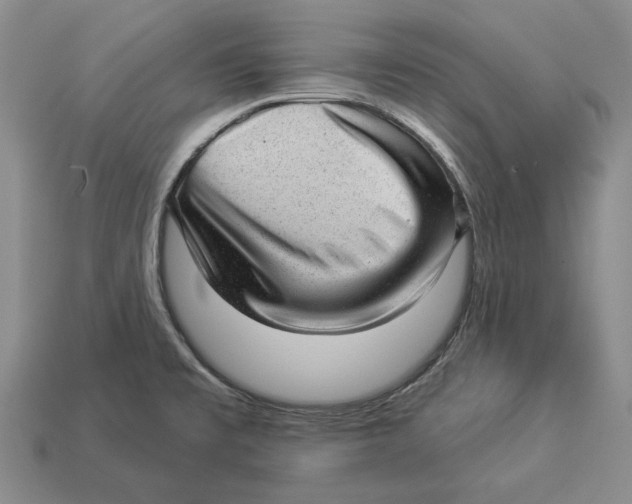 X0000112981477200909171328