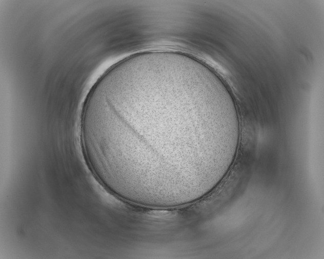 X0000112981478200909171328