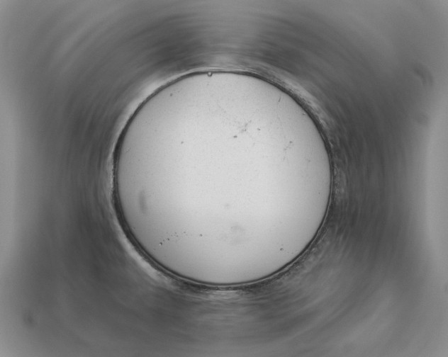 X0000112981479200909171328