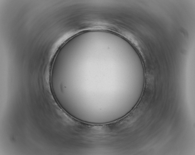 X0000112981480200909171328