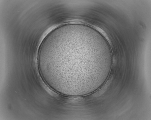 X0000112981482200909171328