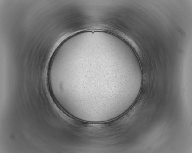 X0000112981483200909171328