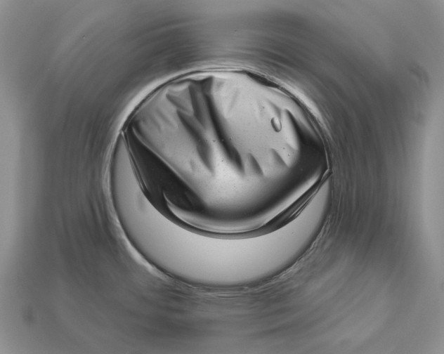 X0000112981484200909171328