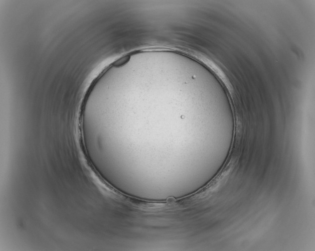 X0000112981485200909171328