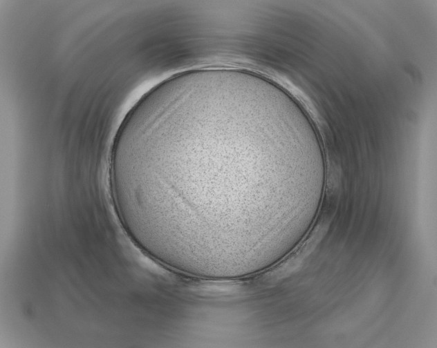 X0000112981486200909171328