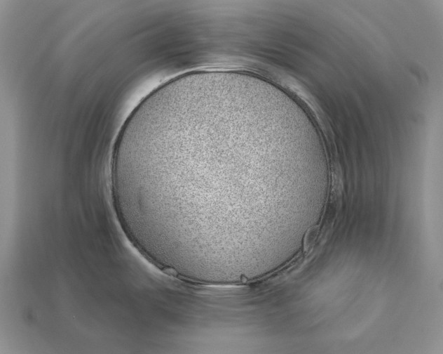 X0000112981487200909171328