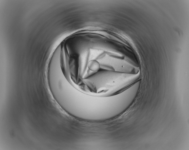 X0000112981488200909171328