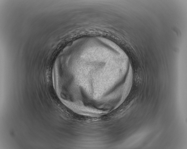 X0000112981490200909171328