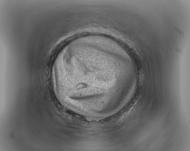 X0000112981494200909171328