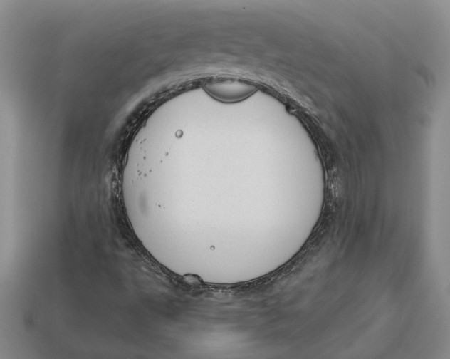 X0000112981495200909171328