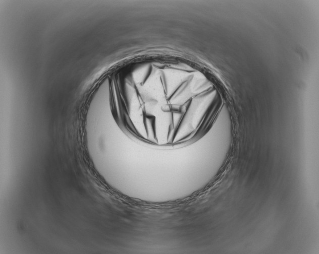 X0000112981496200909171328