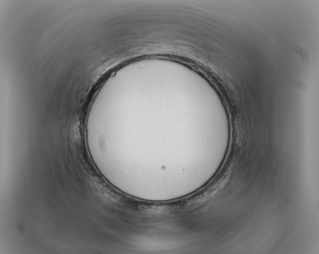 X0000112981497200909171328