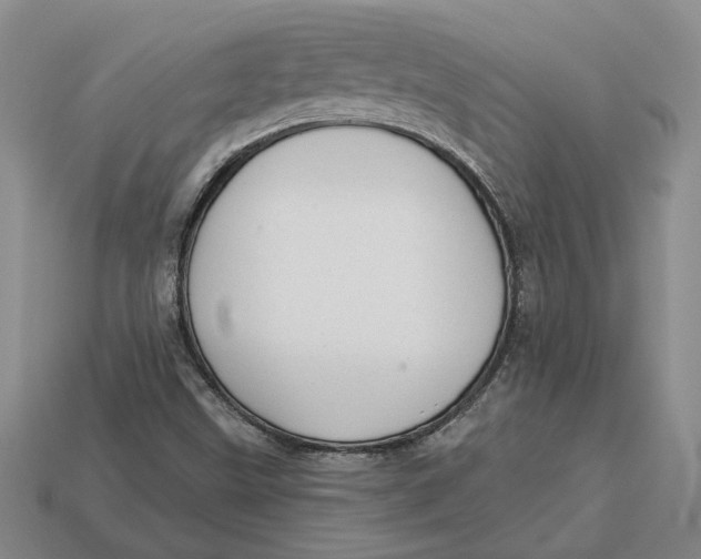 X0000112981499200909171328