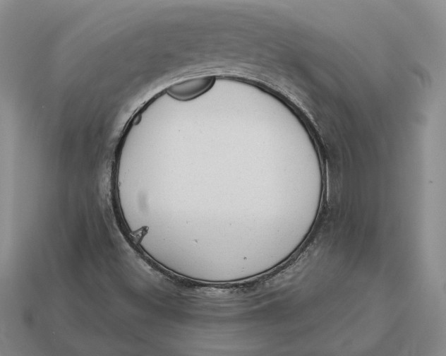 X0000112981500200909171328