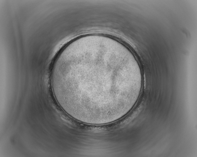 X0000112981501200909171328