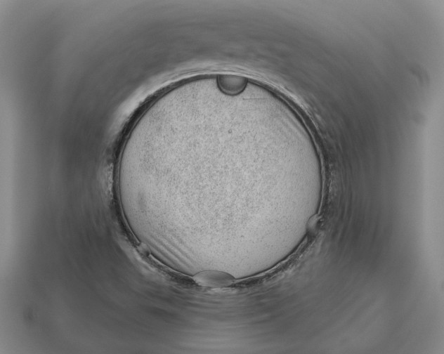 X0000112981503200909171328