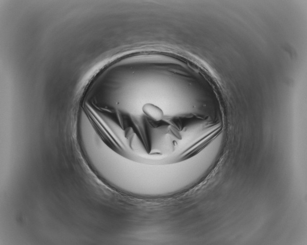 X0000112981504200909171328