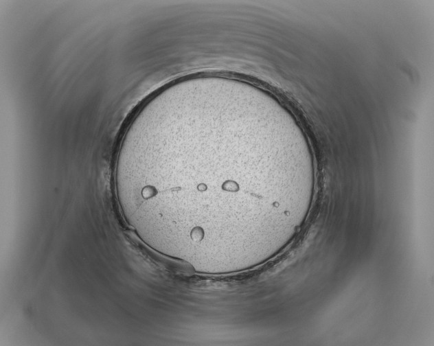 X0000112981505200909171328