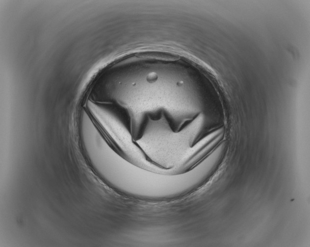 X0000112981506200909171328