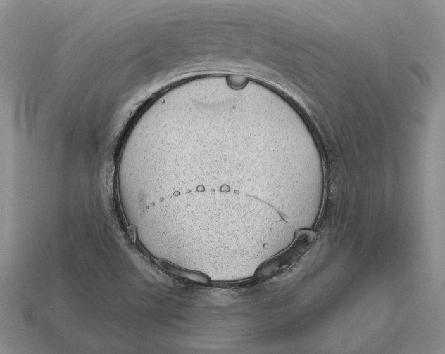 X0000112981507200909171328