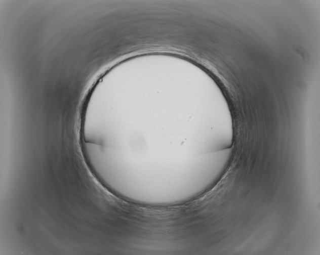 X0000112981508200909171328