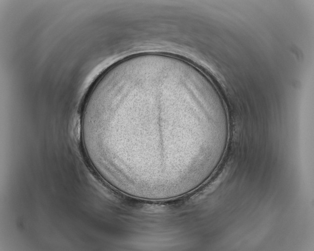 X0000112981509200909171328