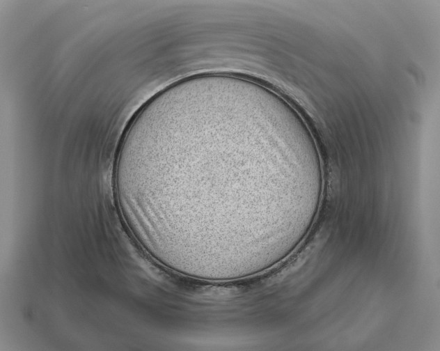 X0000112981513200909171328