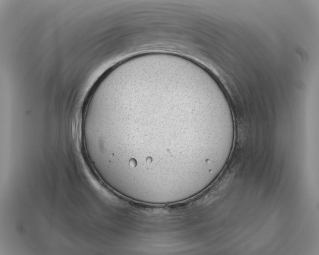 X0000112981515200909171328