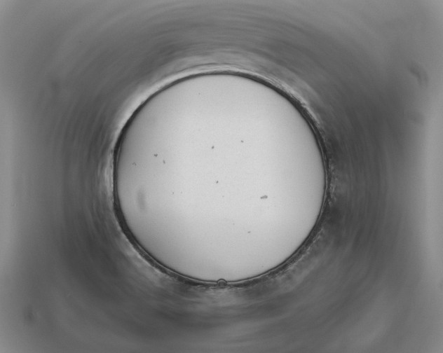 X0000112981516200909171328