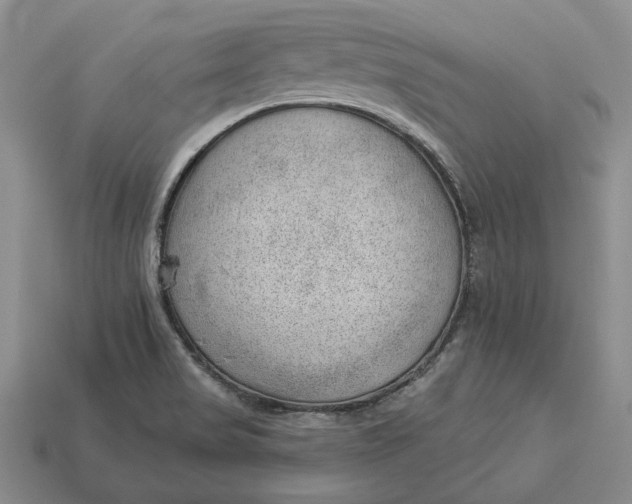 X0000112981517200909171328