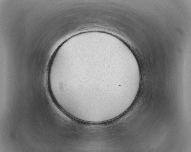 X0000112981518200909171328