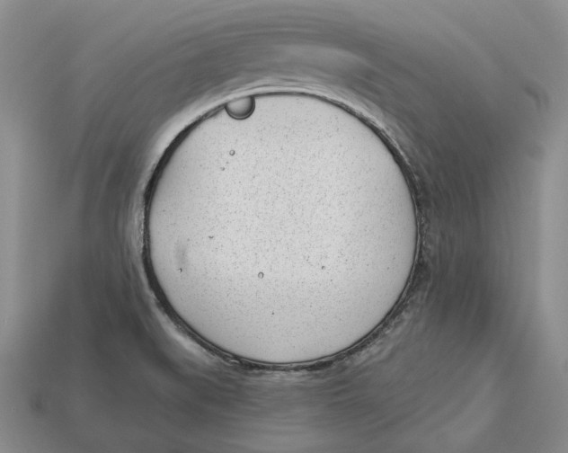 X0000112981519200909171328