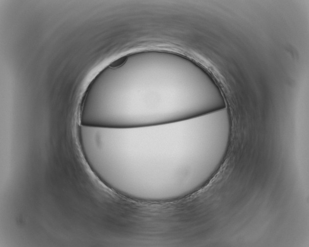 X0000112981520200909171328