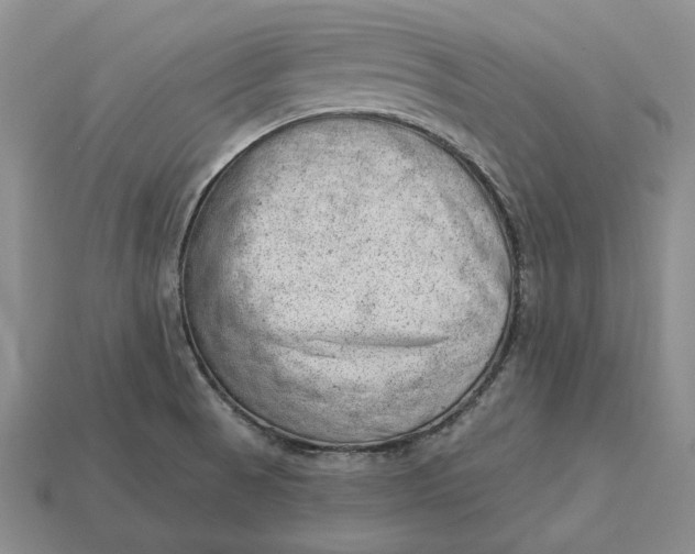 X0000112981521200909171328