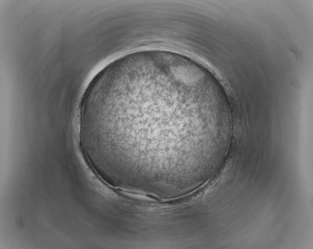 X0000112981522200909171328