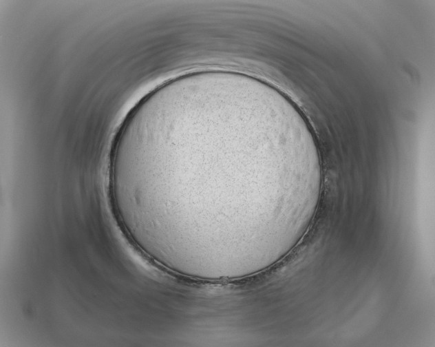 X0000112981523200909171328