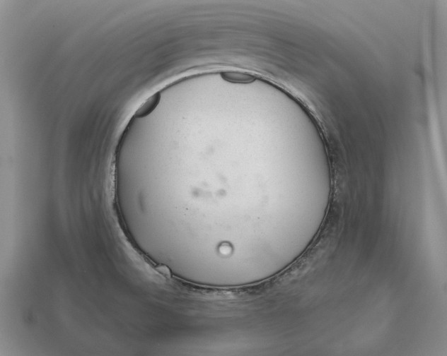 X0000112981524200909171328