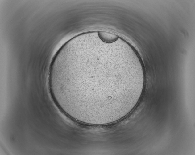 X0000112981525200909171328