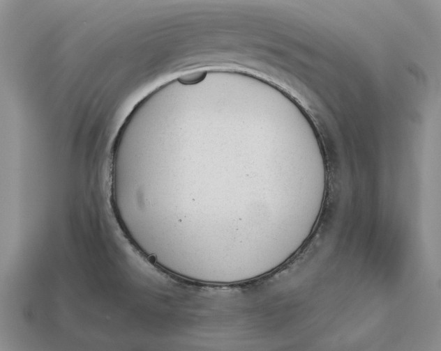 X0000112981526200909171328