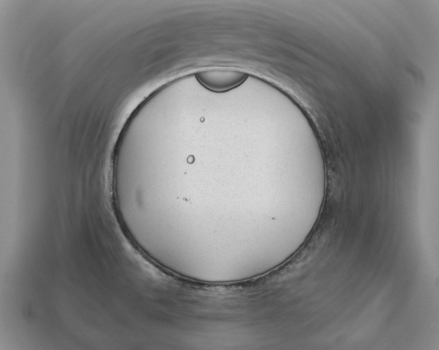 X0000112981527200909171328