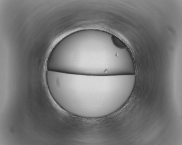 X0000112981528200909171328