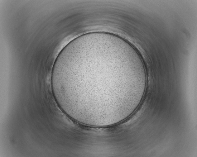 X0000112981529200909171328