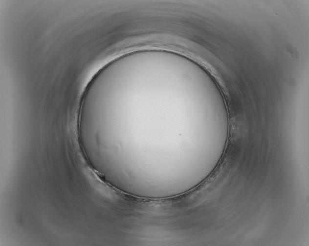 X0000112981530200909171328