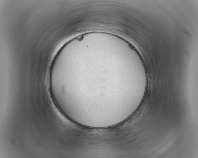 X0000112981531200909171328