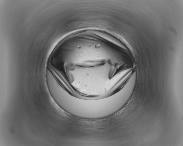 X0000112981532200909171328