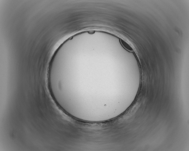 X0000112981533200909171328