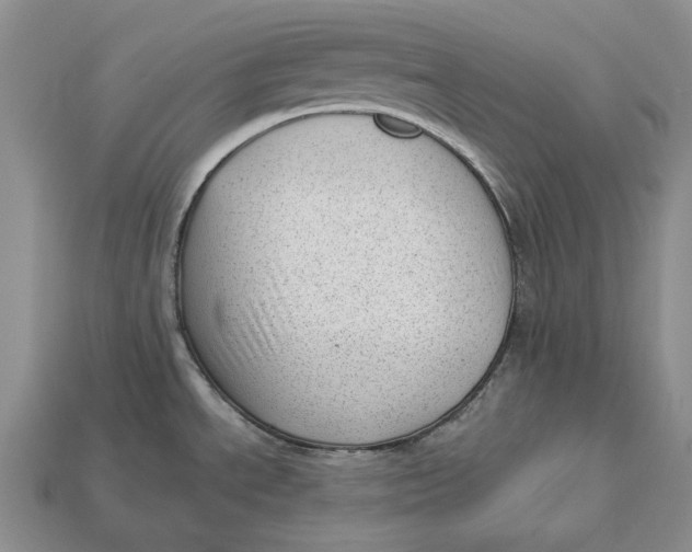 X0000112981534200909171328